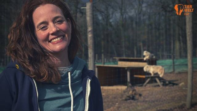 TIERWELT Live - Kates Tierwelt