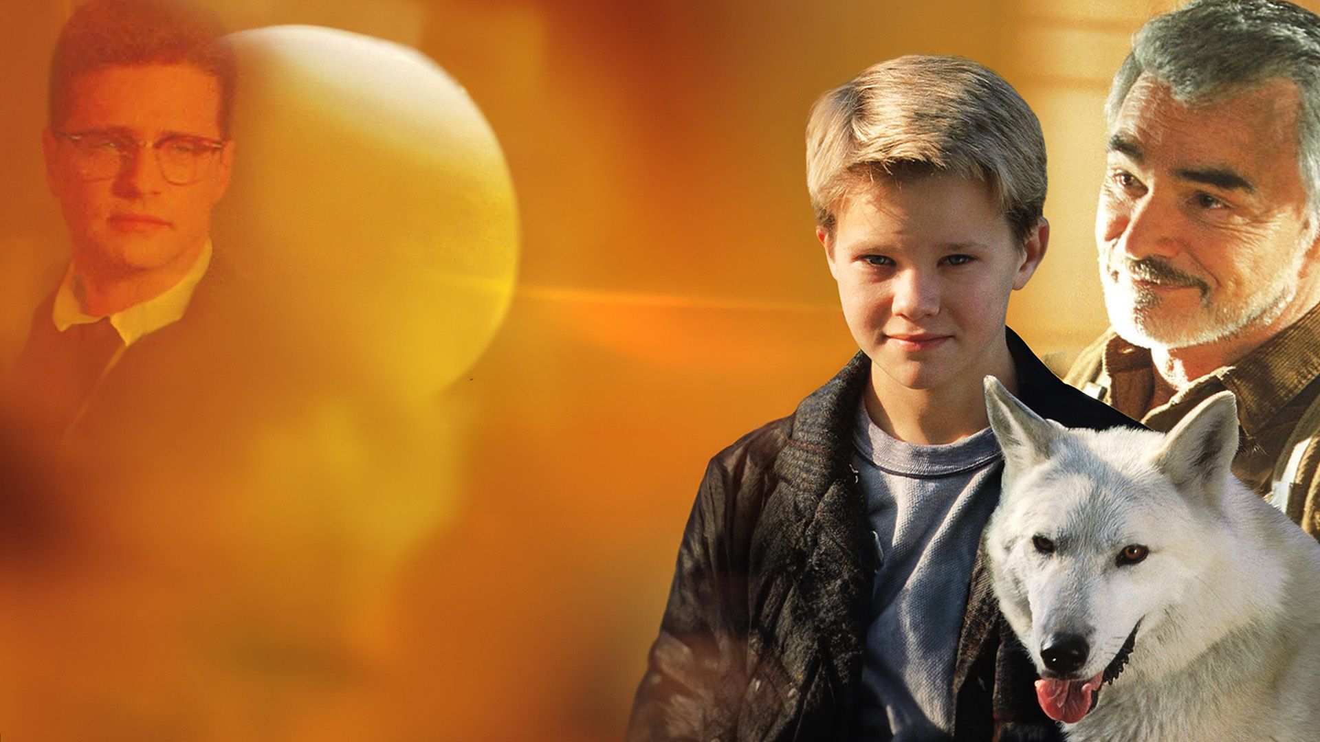 Aaron und der Wolf