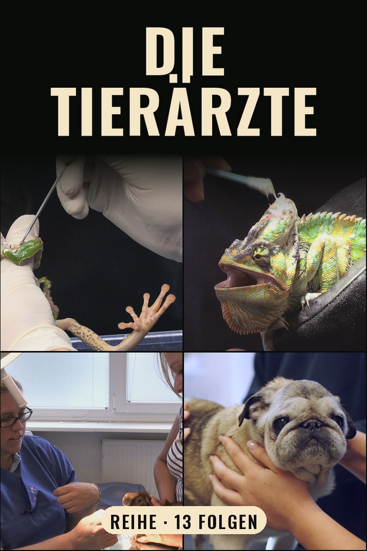 Die Tierärzte