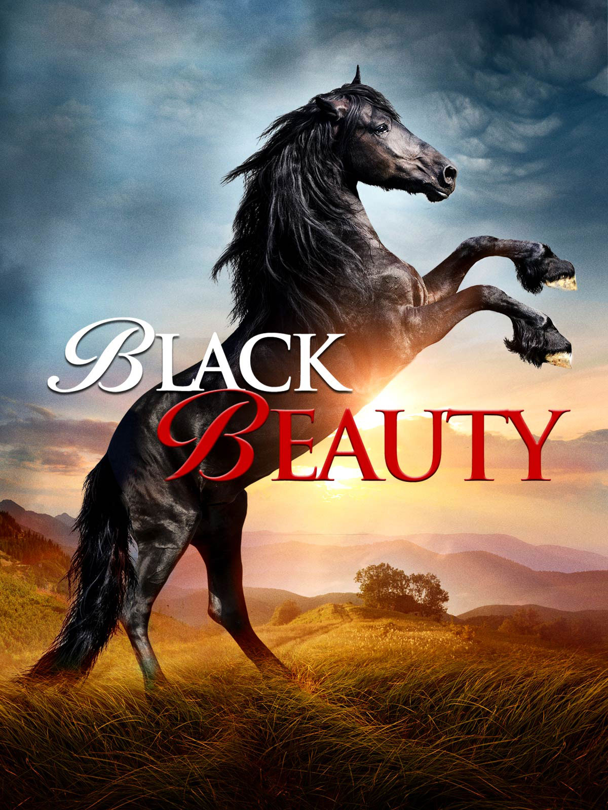 Black Beauty
