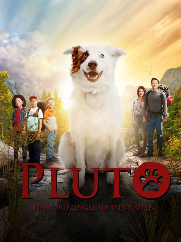 Pluto - Ein Schutzengel auf vier Pfoten