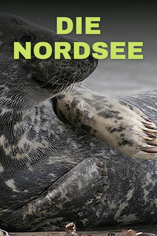 Die Nordsee