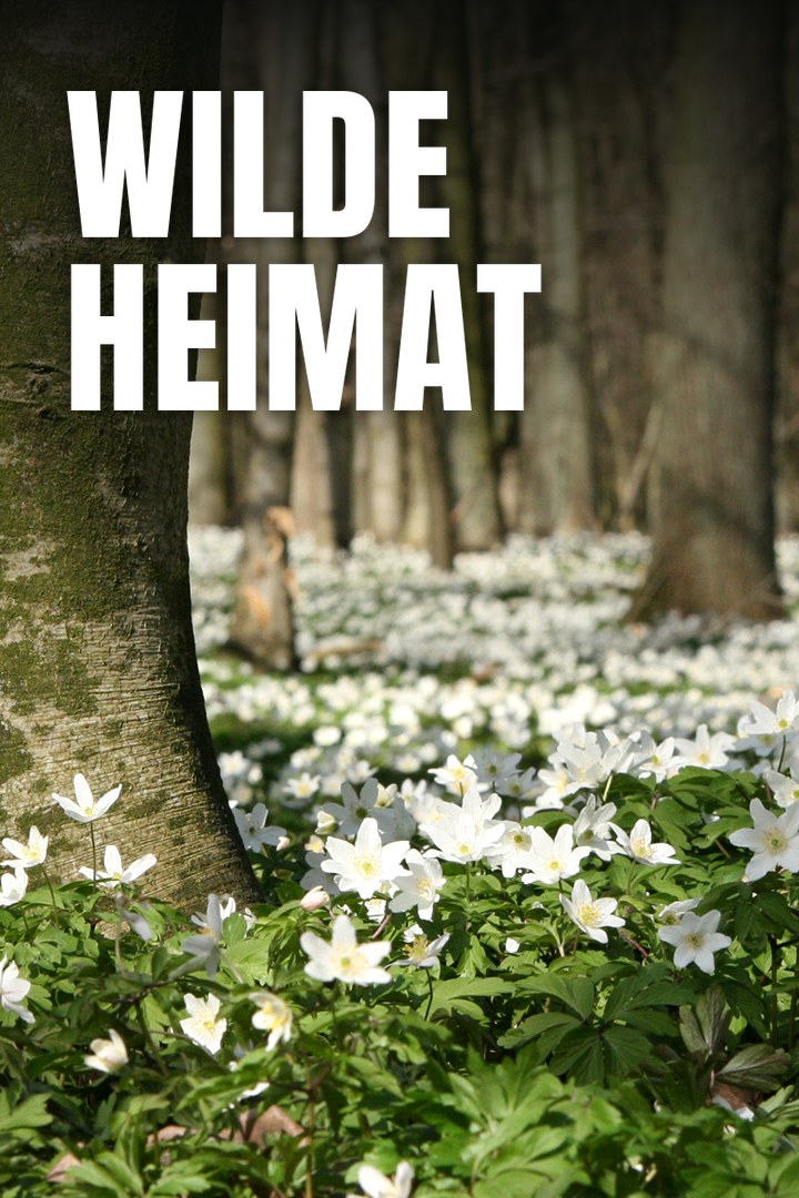 Wilde Heimat