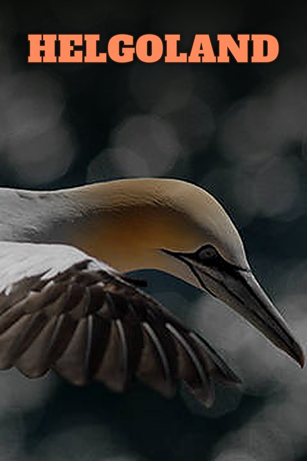 Helgoland