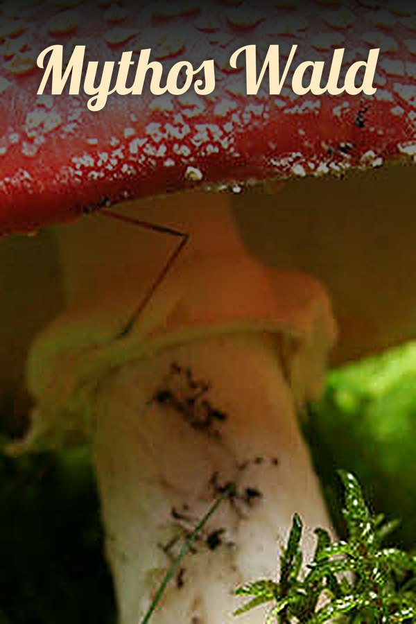Mythos Wald