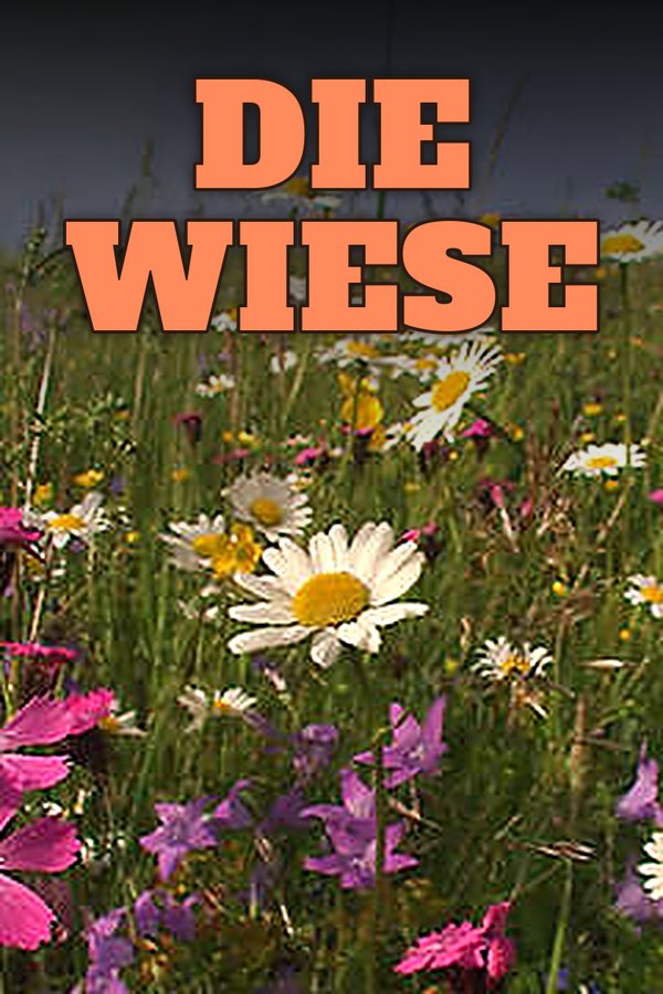 Die Wiese