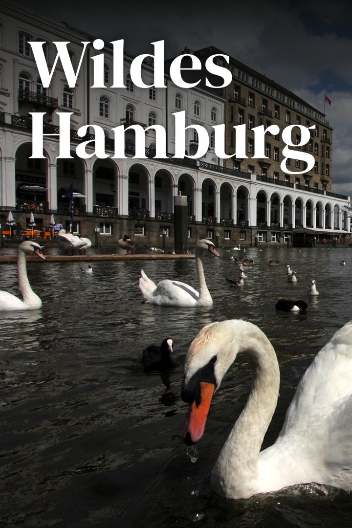 Wildes Hamburg