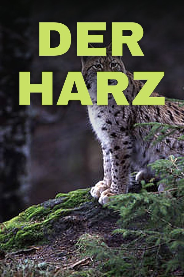 Der Harz