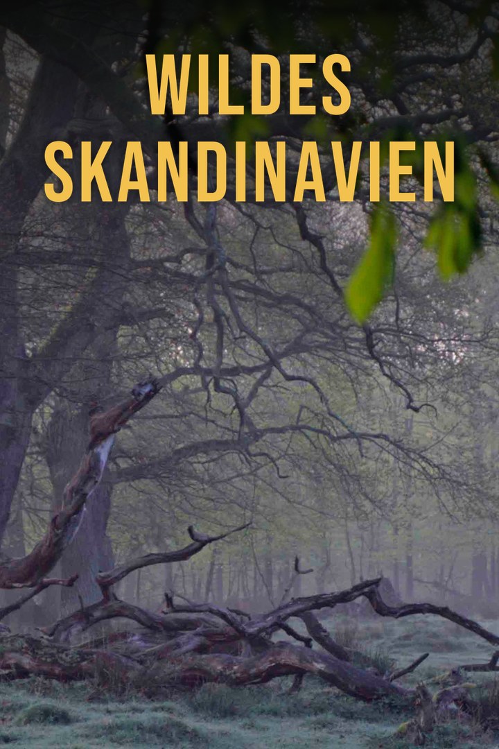 Wildes Skandinavien