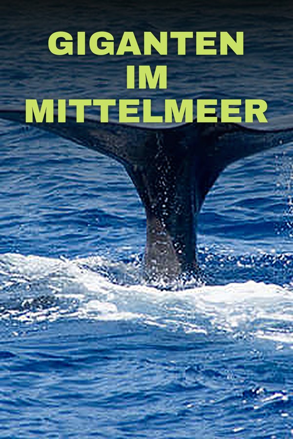 Giganten im Mittelmeer