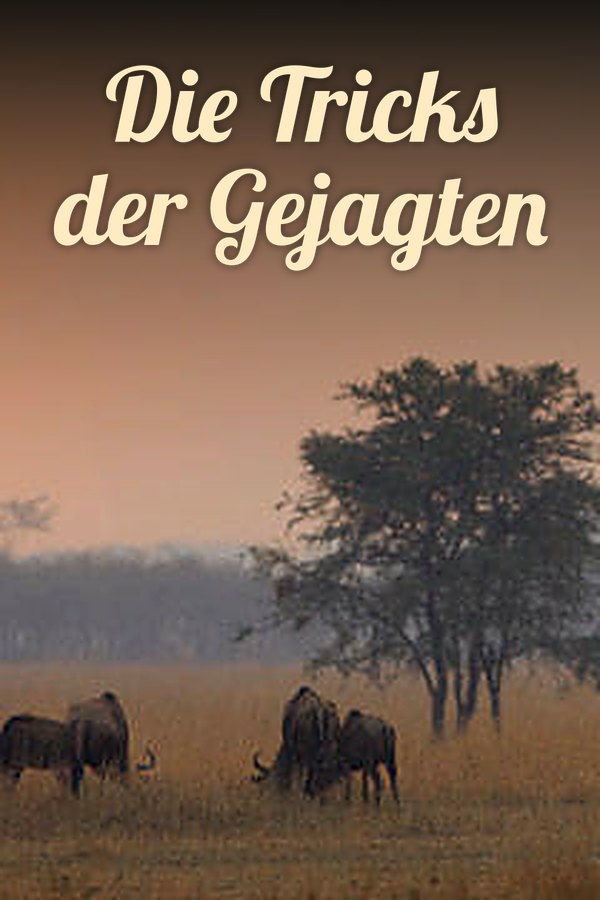 Die Tricks der Gejagten