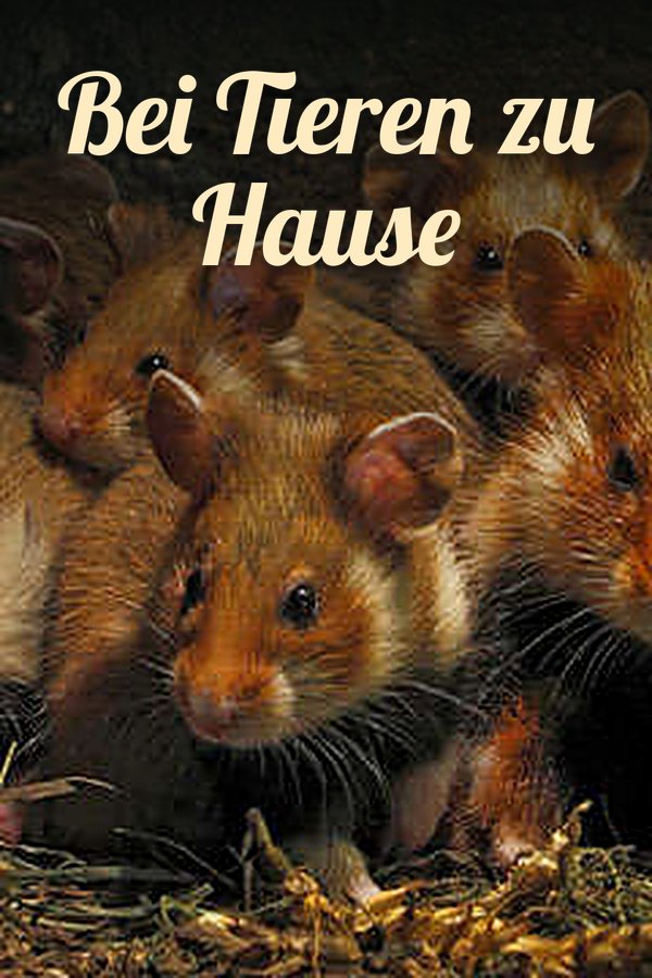 Bei Tieren zu Hause