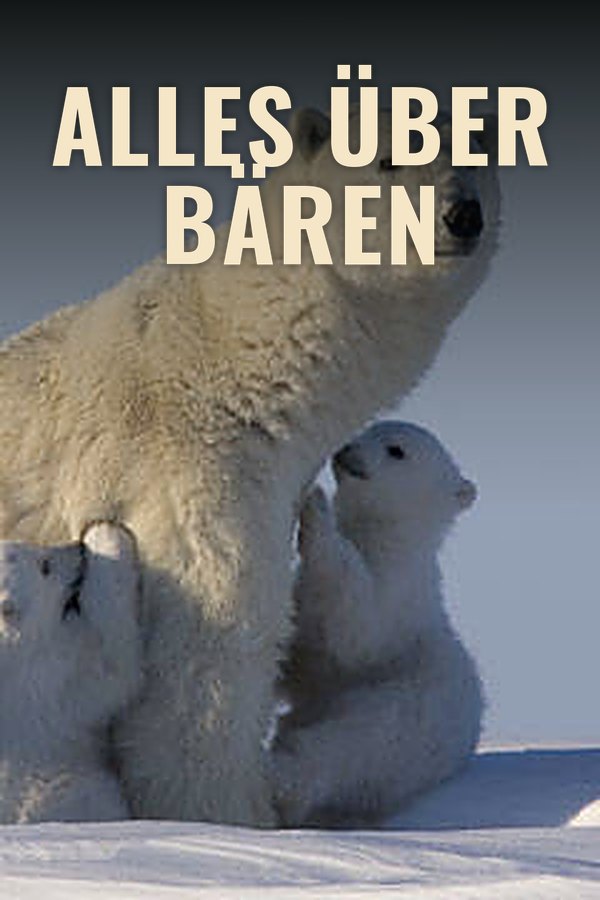 Alles über Bären