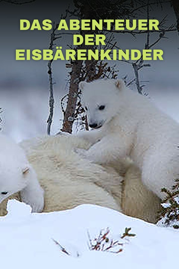 Das Abenteuer der Eisbärenkinder