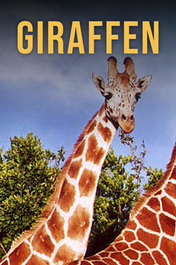 Giraffen
