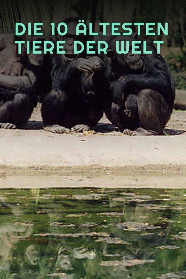 Die 10 ältesten Tiere der Welt