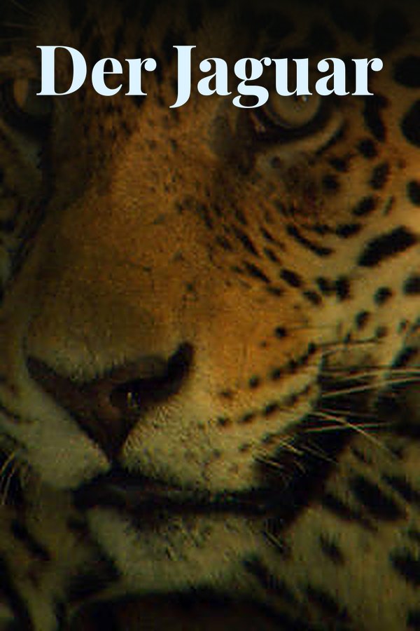 Der Jaguar