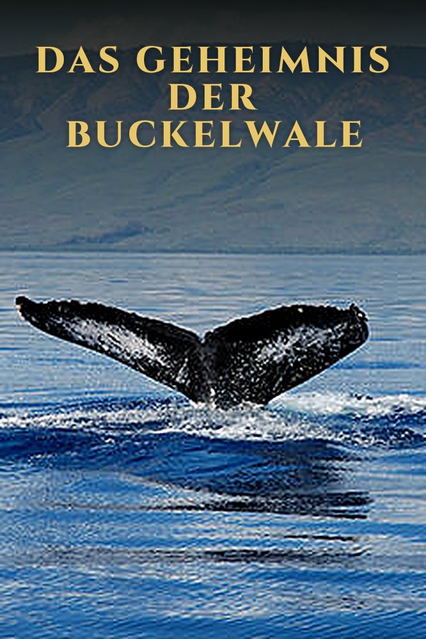 Das Geheimnis der Buckelwale