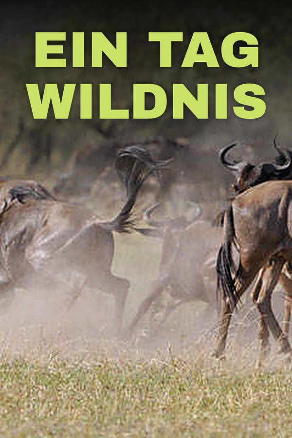 Ein Tag Wildnis