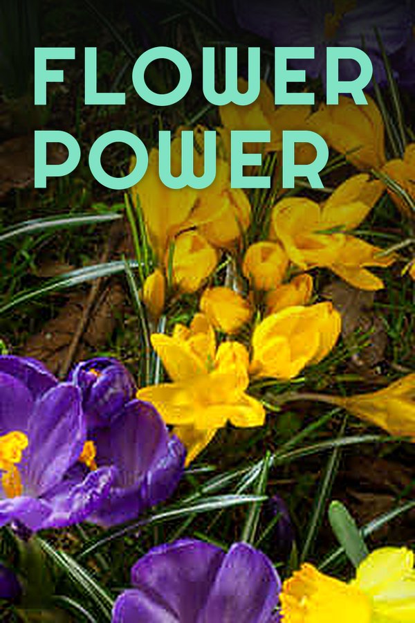 Flower Power
