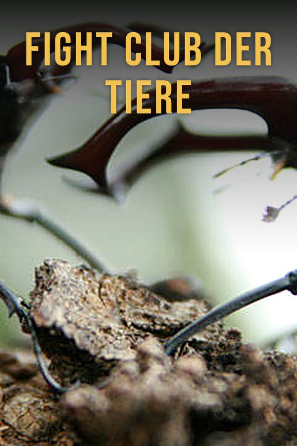 Fight Club der Tiere