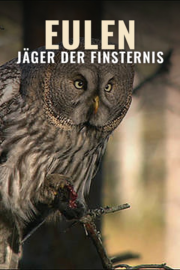 Eulen - Jäger der Finsternis