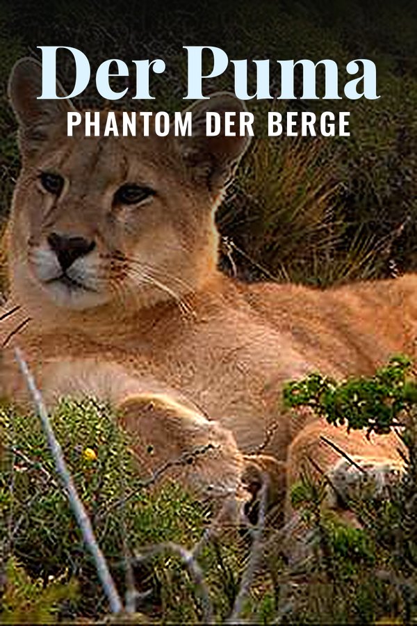 Der Puma - Phantom der Berge