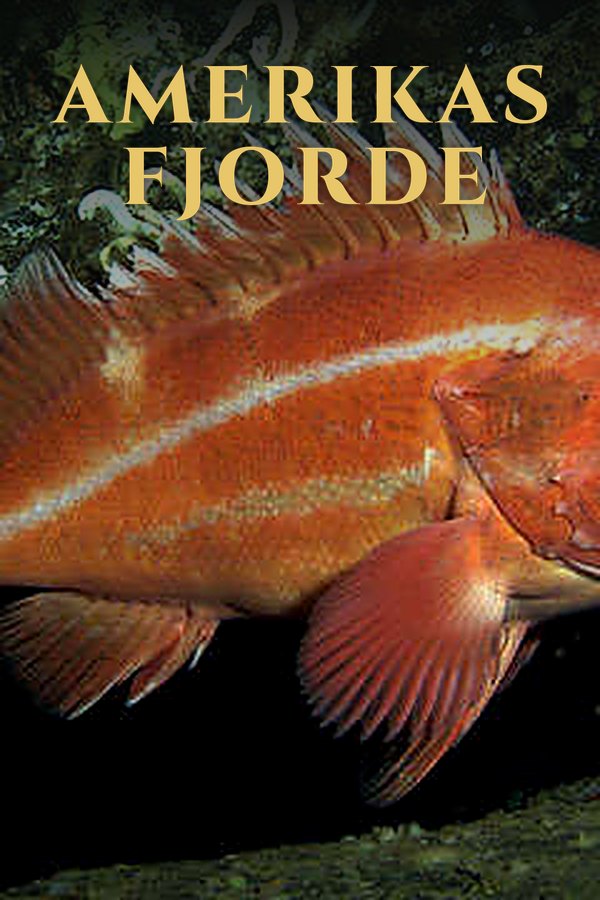 Amerikas Fjorde