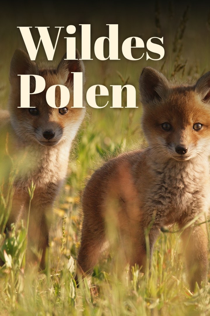 Wildes Polen
