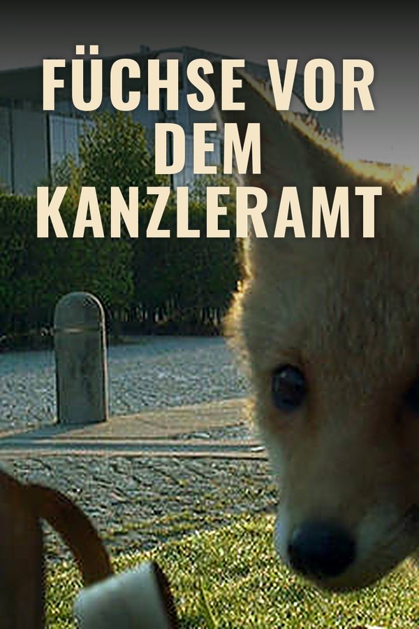 Füchse vor dem Kanzleramt