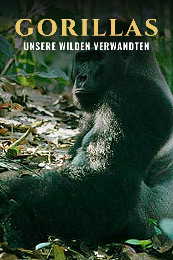 Gorillas - Unsere wilden Verwandten