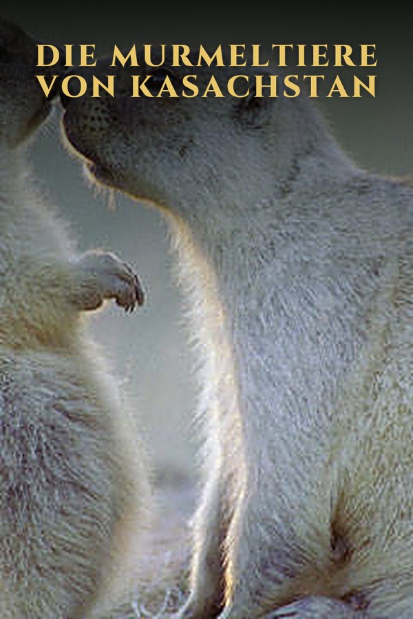 Die Murmeltiere von Kasachstan