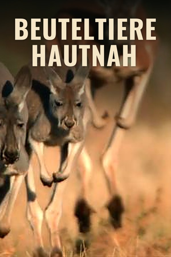 Beuteltiere hautnah