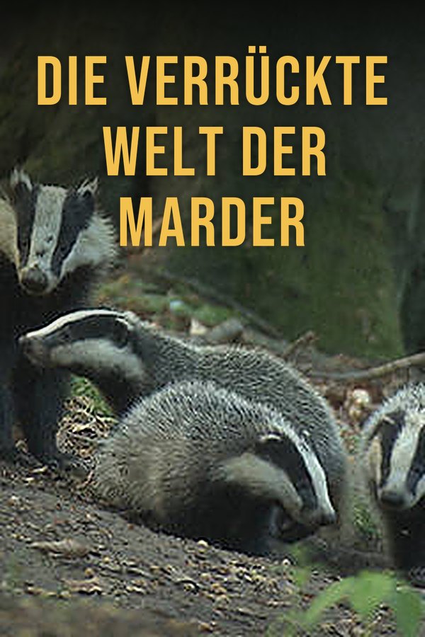 Die verrückte Welt der Marder