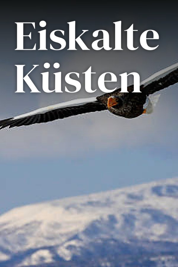 Eiskalte Küsten