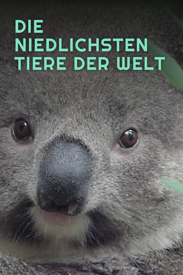 Die niedlichsten Tiere der Welt