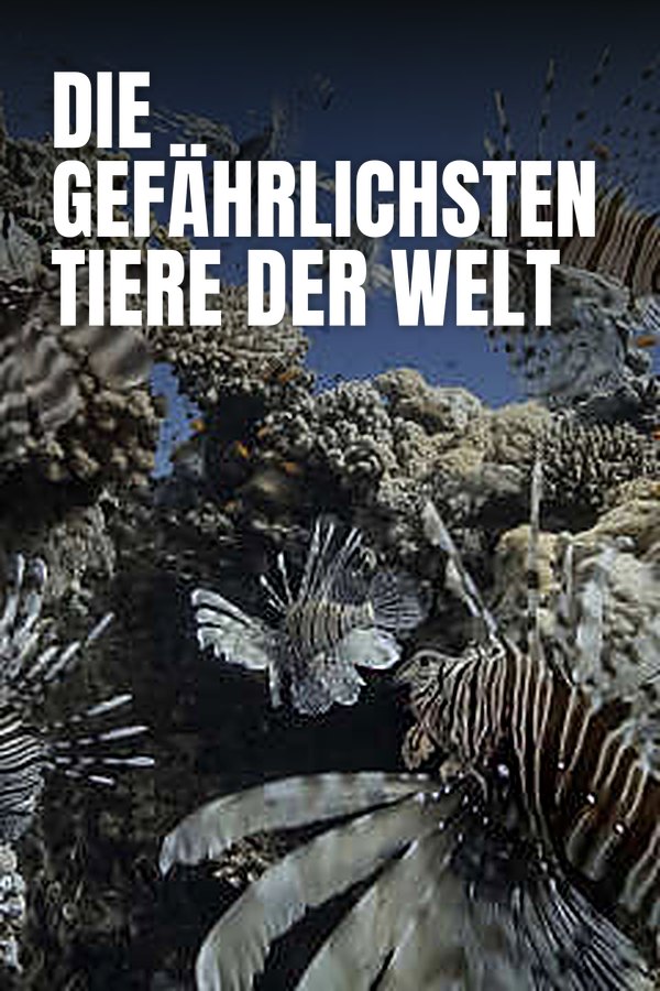 Die gefährlichsten Tiere der Welt