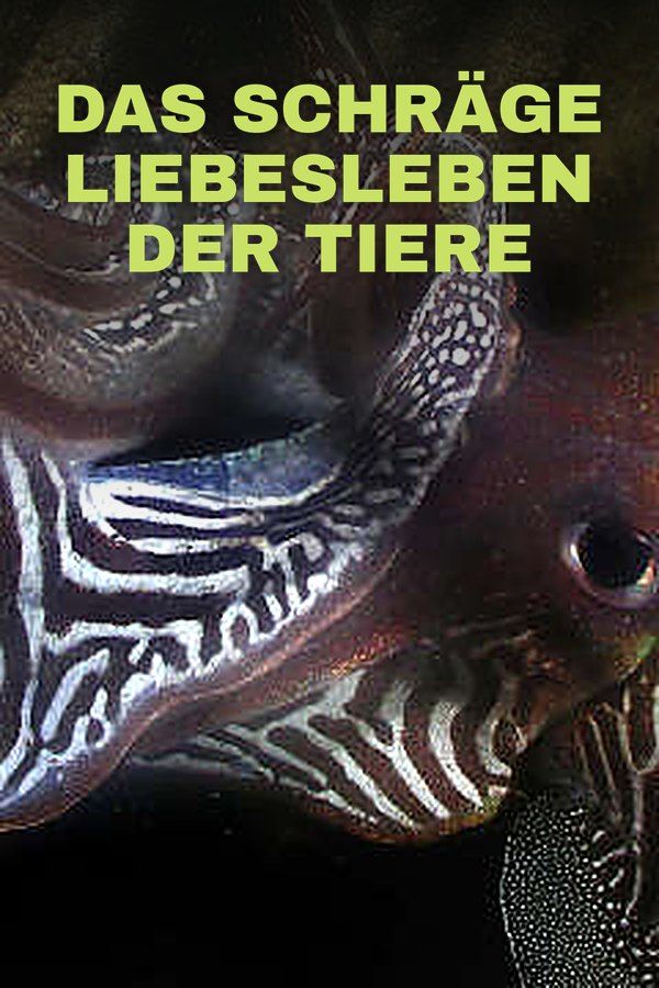 Das schräge Liebesleben der Tiere