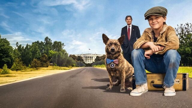 First Dog – Zurück nach Hause kostenlos streamen | dailyme