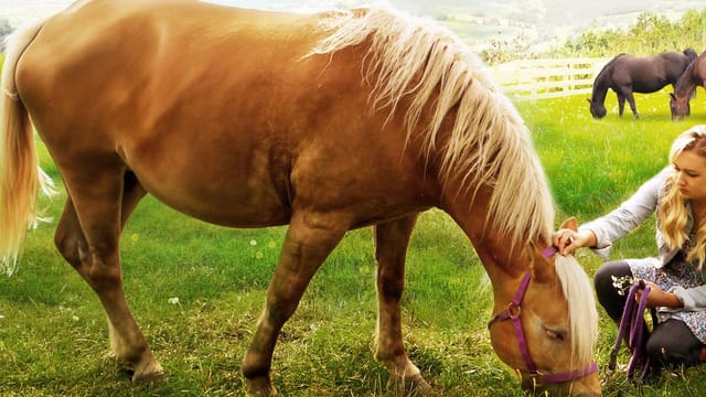 Welcome to Happy Valley kostenlos streamen | dailyme