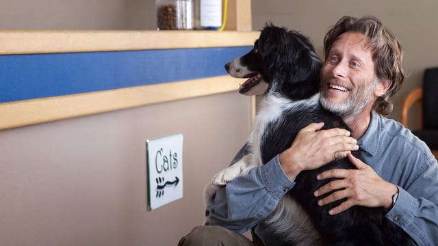 Ein Hund namens Duke kostenlos streamen | dailyme
