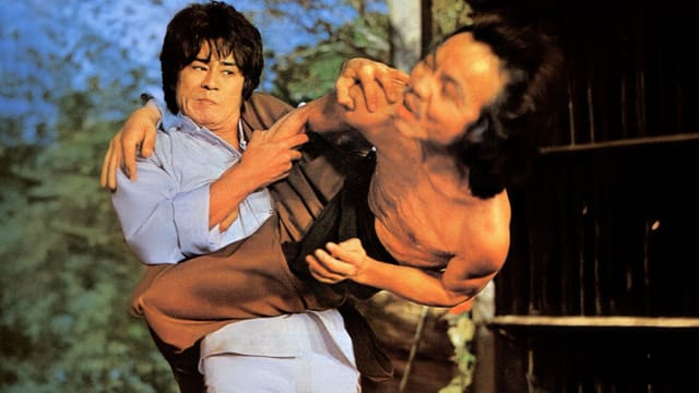 Shaolin Kung-Fu - Vollstrecker der Gerechtigkeit kostenlos streamen | dailyme