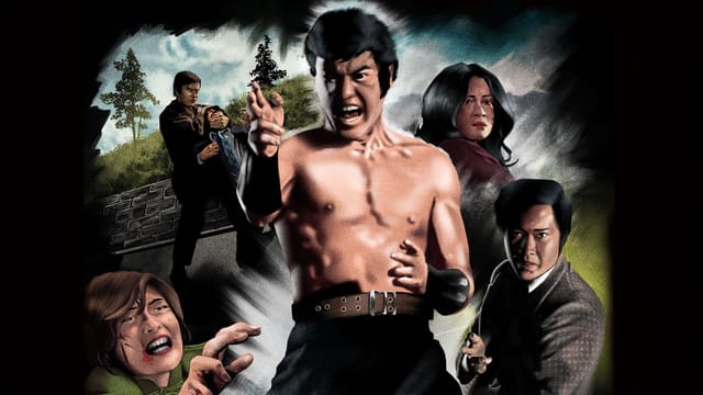 The Street Fighter's Last Revenge kostenlos streamen | dailyme