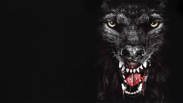 The Pack - Die Meute kostenlos streamen | dailyme