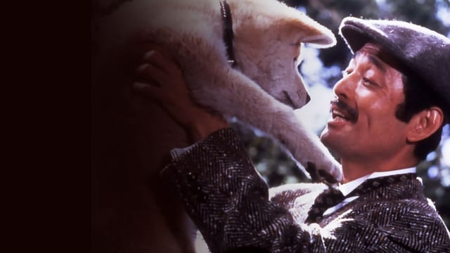 Hachiko – Wahre Freundschaft währt ewig kostenlos streamen | dailyme