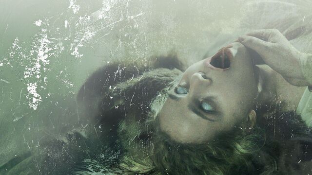 The Field Guide To Evil - Handbuch des Grauens kostenlos streamen | dailyme