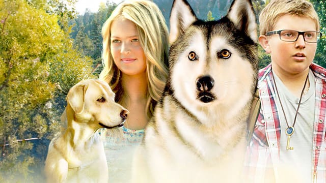 Timber - Ein tierischer Schatz kostenlos streamen | dailyme