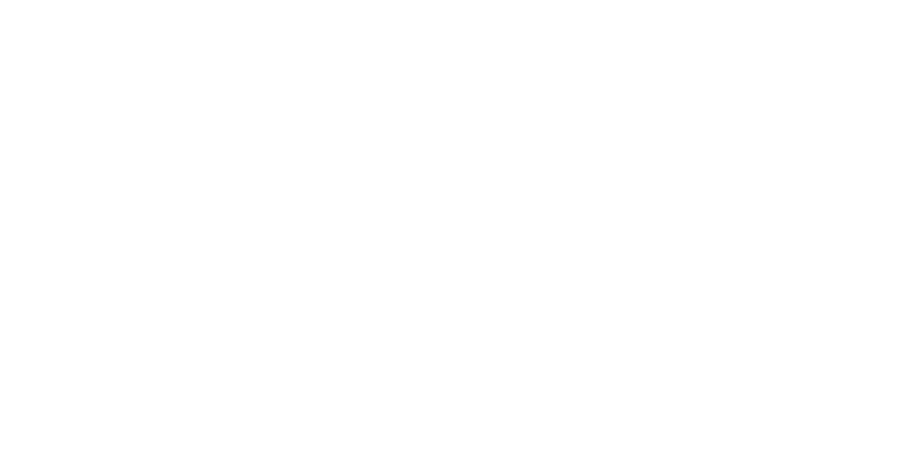 Aardvark