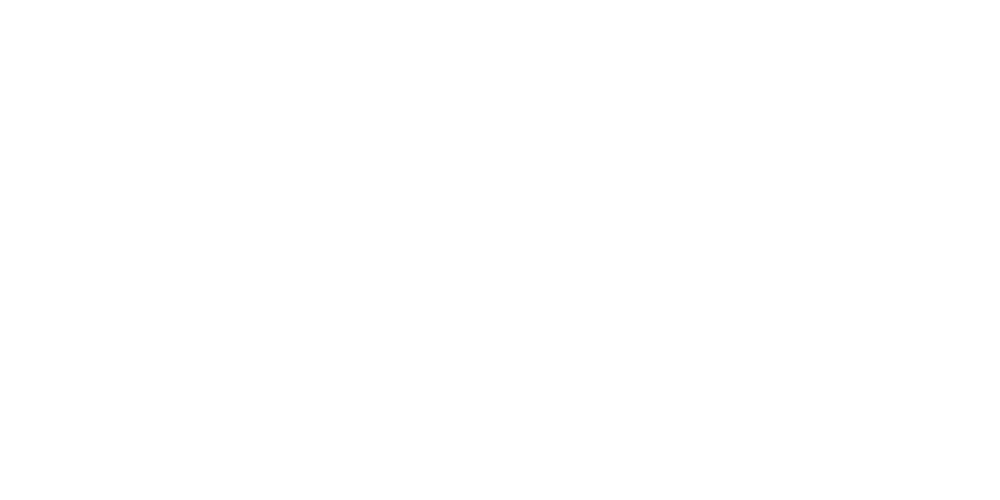 Midnight Stallion: Der König der Pferde