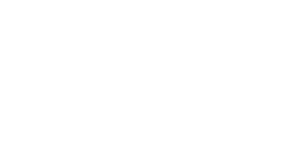 Hitler - Eine Karriere
